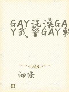 GAY洗澡GAY武警GAY软件