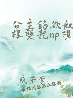 公主的欲奴h四根双龙np视频
