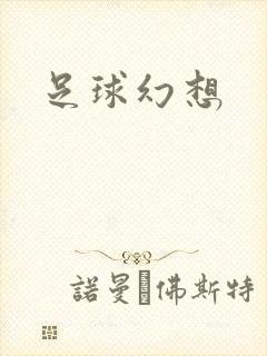 足球幻想