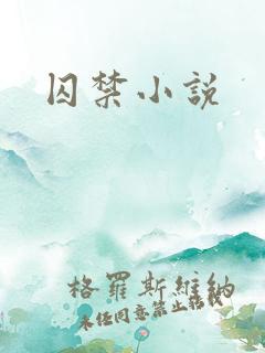 囚禁小说