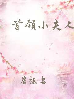 首领小夫人