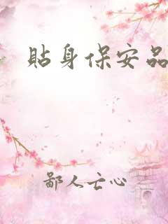 贴身保安品书网