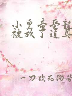小皇帝受龙椅上被放了道具