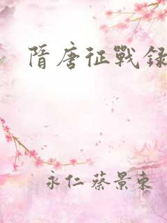 隋唐征战录