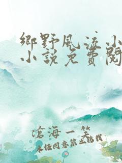 乡野风流小神医小说免费阅读