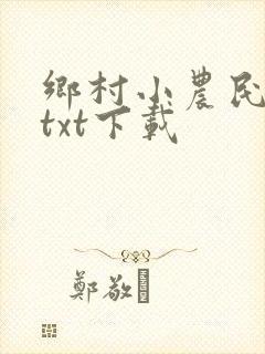 乡村小农民小说txt下载