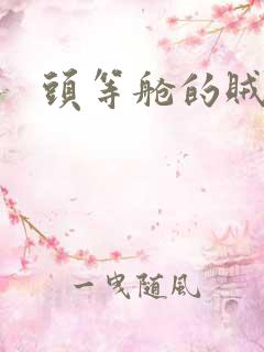 头等舱的贼