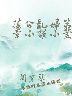 荡公乱妇第51章小说小莹
