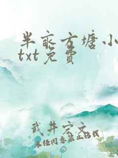 半亩方塘小说网txt免费