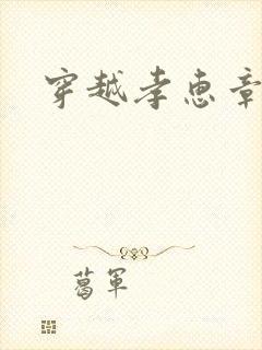 穿越孝惠章皇后
