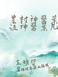 农村神医叶凡风流神医叶凡