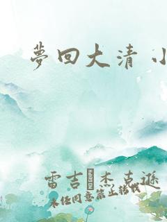梦回大清 小说