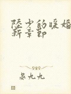 陆少的暖婚新妻新章节
