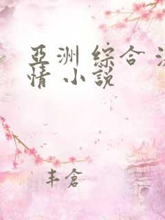 亚洲 综合 激情 小说