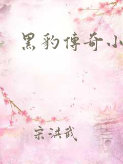 黑豹传奇小说