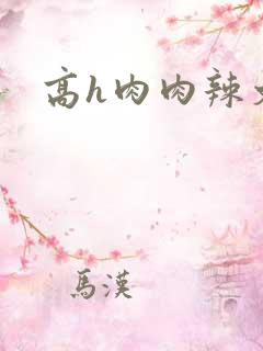 高h肉肉辣文