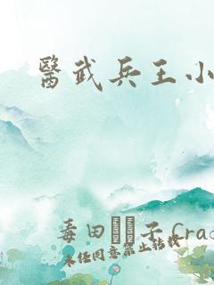 医武兵王小说