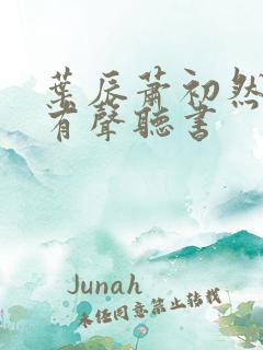 叶辰萧初然小说有声听书