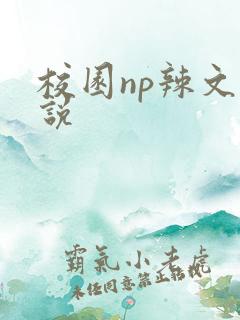 校园np辣文小说