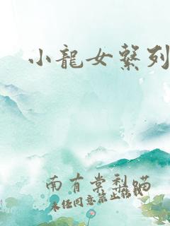 小龙女系列小说
