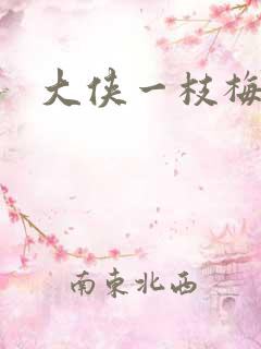 大侠一枝梅