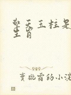 擎天玉柱是什么生肖
