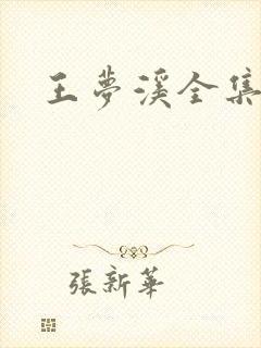 王梦溪全集