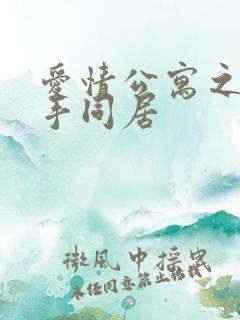 爱情公寓之与杀手同居