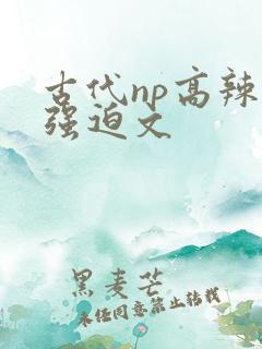 古代np高辣h强迫文