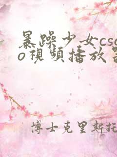 暴躁少女csgo视频播放器推荐