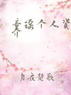童瑶个人资料简介