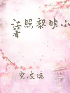 江照黎明小说原著