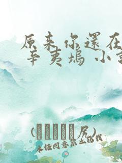 原来你还在这里 辛夷坞 小说
