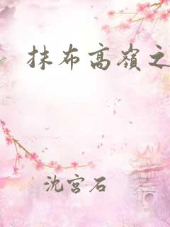 抹布高岭之花