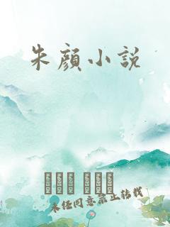 朱颜小说