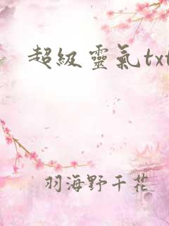 超级灵气txt