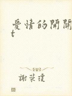 爱情的开关txt