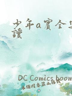 少年a宾全集阅读