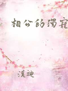 相公的独宠妻子