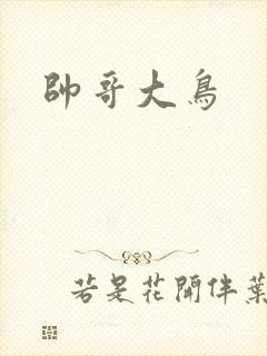 帅哥大鸟