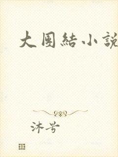 大团结小说下载