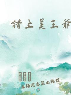 错上美王爷