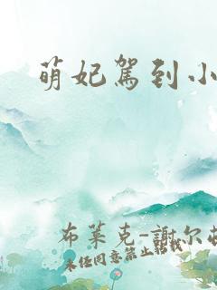 萌妃驾到小说
