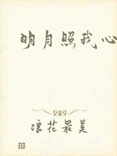 明月照我心小说