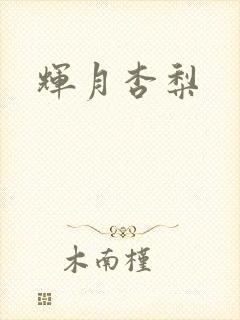 辉月杏梨