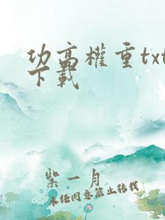 功高权重txt下载