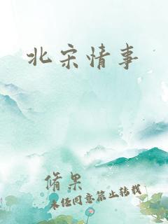 北宋情事