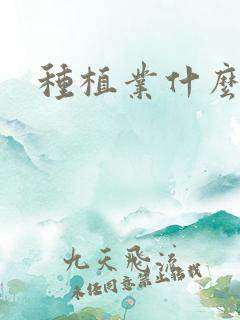 种植业什么赚钱