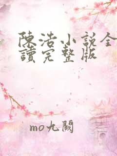 陈浩小说全文阅读完整版