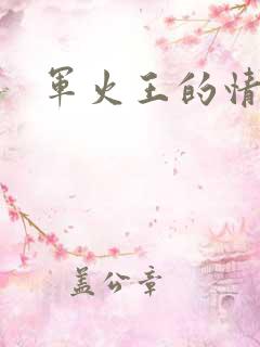 军火王的情人